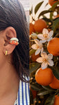 Orange Blossom